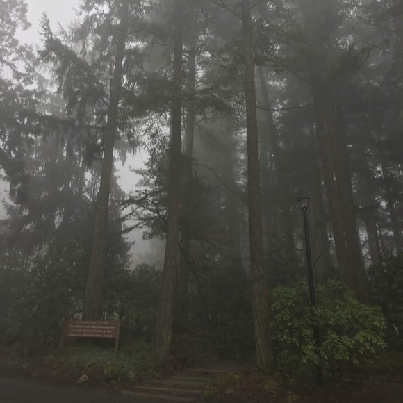 Meet Your Seller - Picture 4 of 6